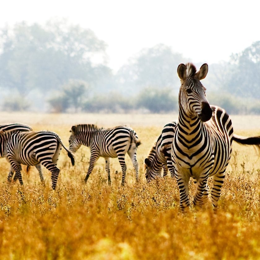 Find out about other charitable giving vehicles. 