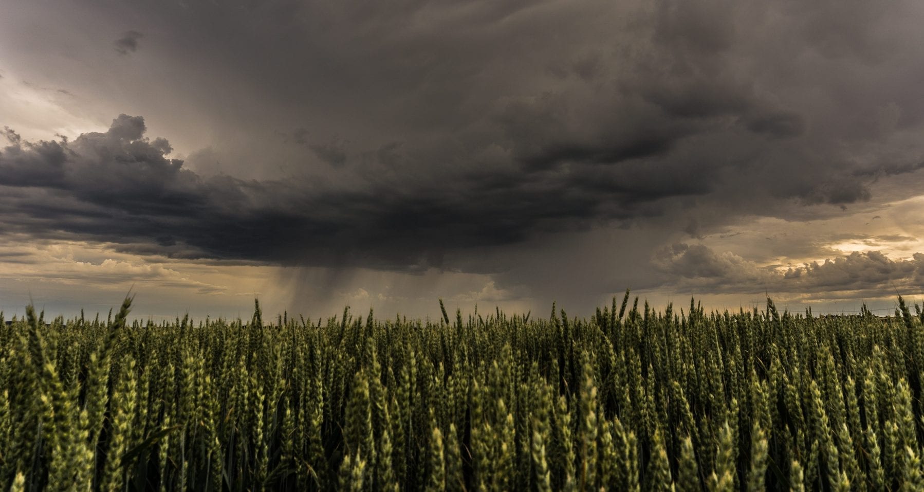 Storm and dark sky over agricultural fields