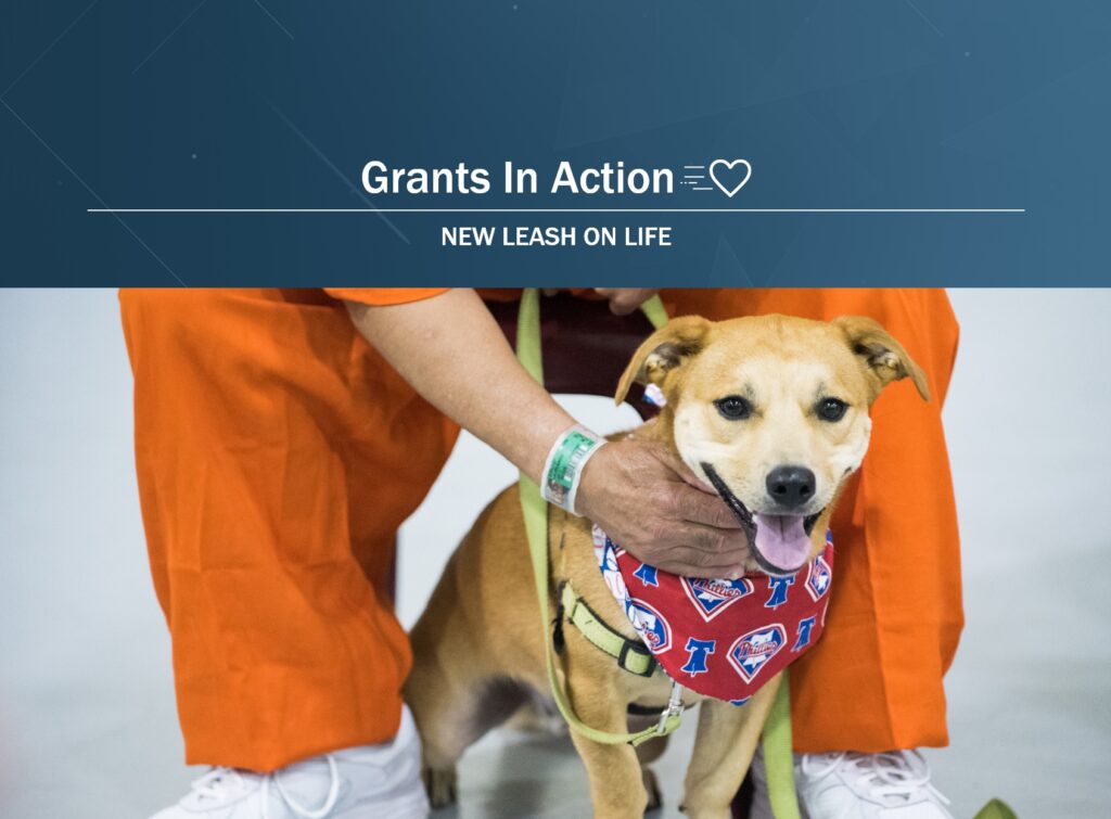 New Leash on Life USA Reducing Recidivism Through the HumanAnimal